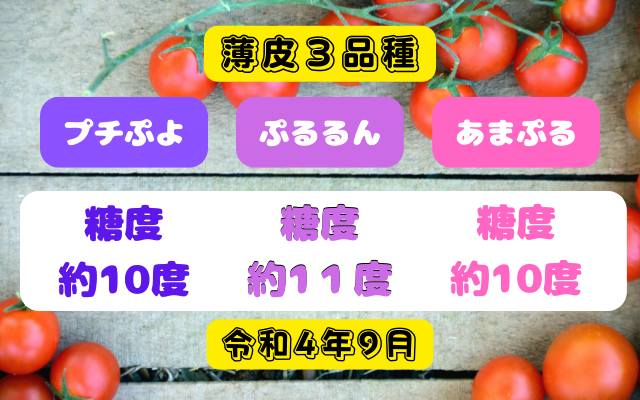 薄皮ミニトマトのオススメ品種「プチぷよ」「ぷるるん」「あまぷる」の糖度測定結果になります。令和４年度は雨除けを設置した結果、約10度を超えて甘い ミニトマトを収穫できました。 | ミニトマト 家庭菜園ブログ とまのり